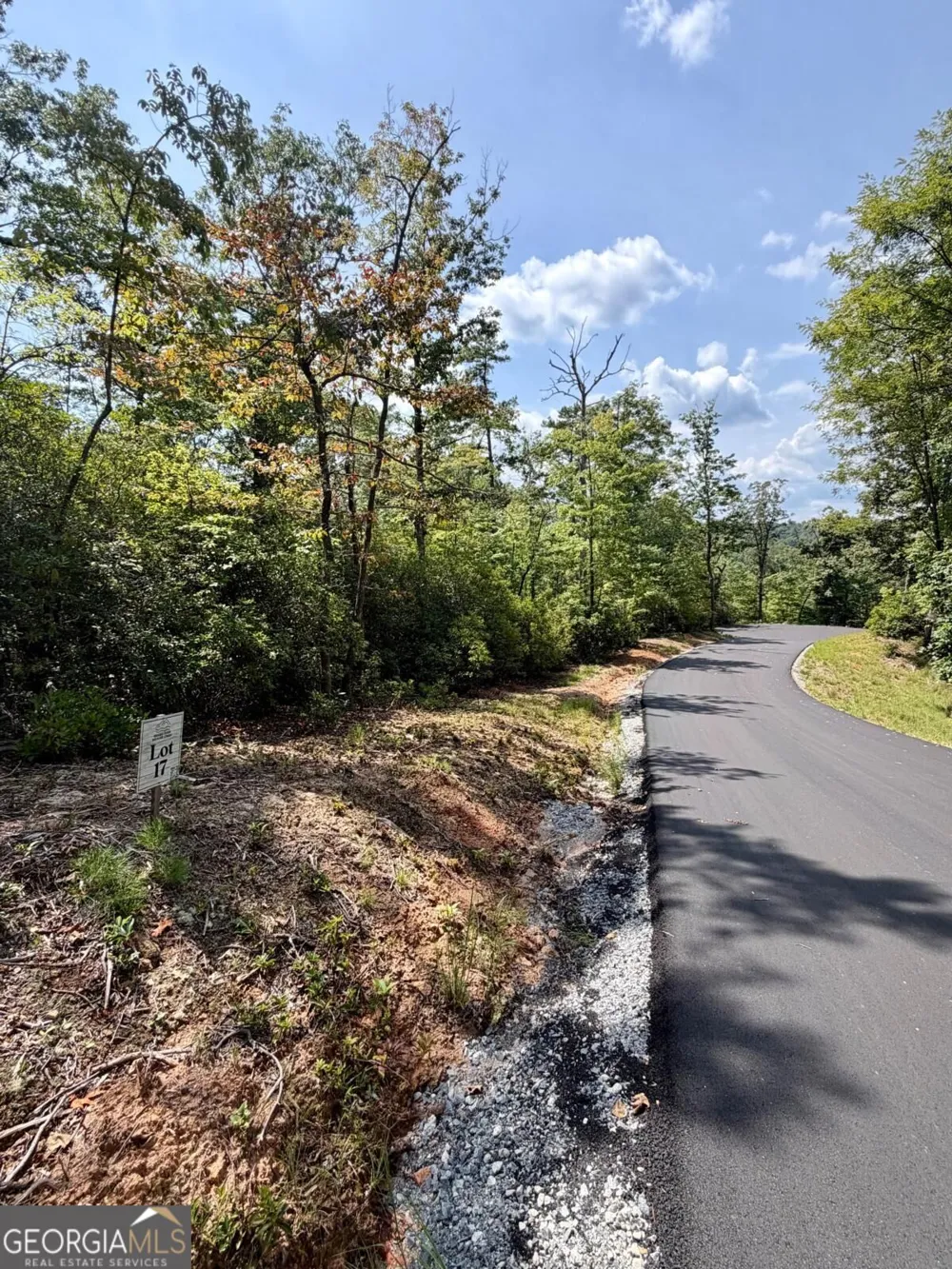 LOT 17 Turquoise RDG Blue Ridge, GA 30513