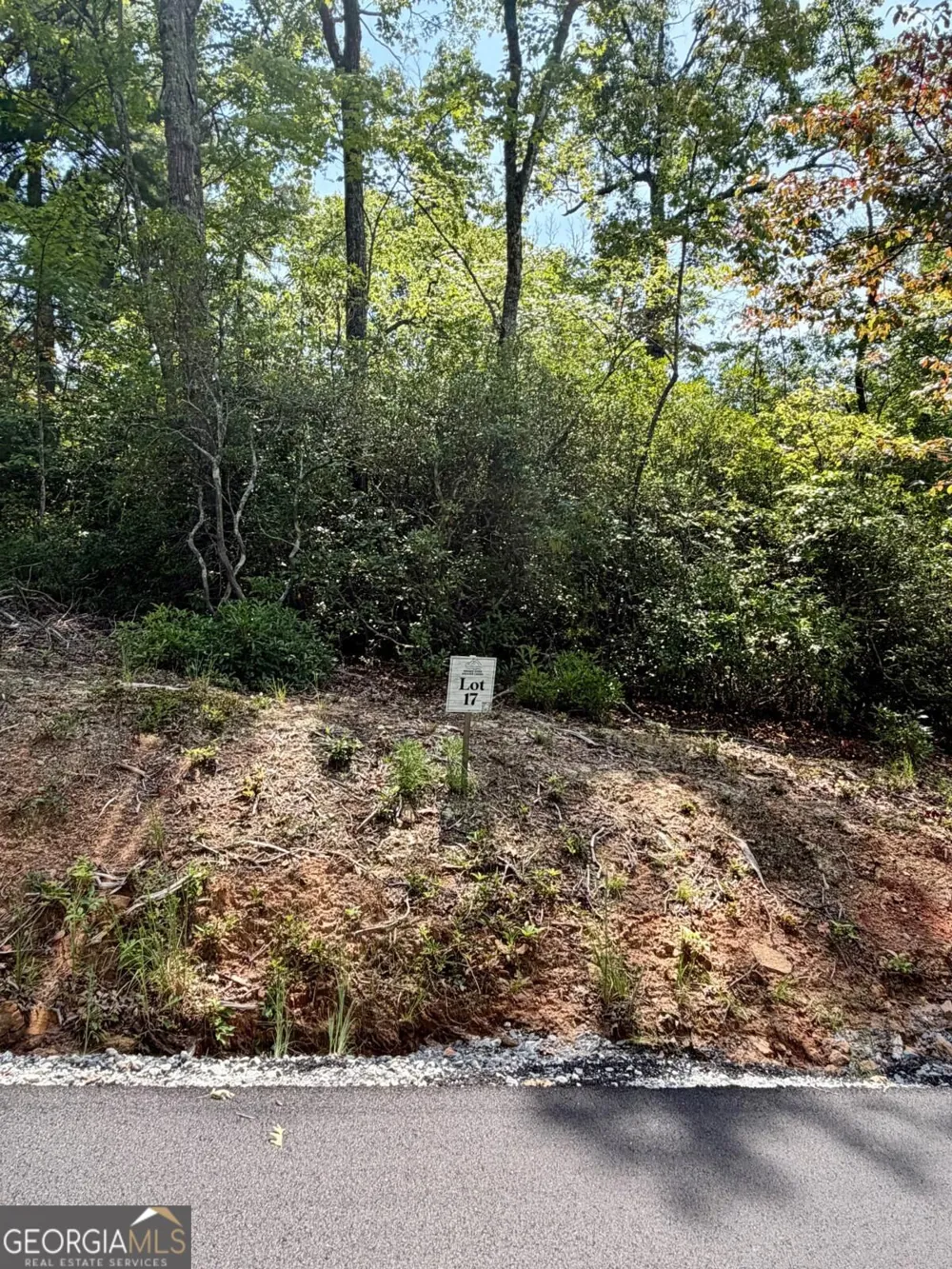 LOT 17 Turquoise RDG Blue Ridge, GA 30513