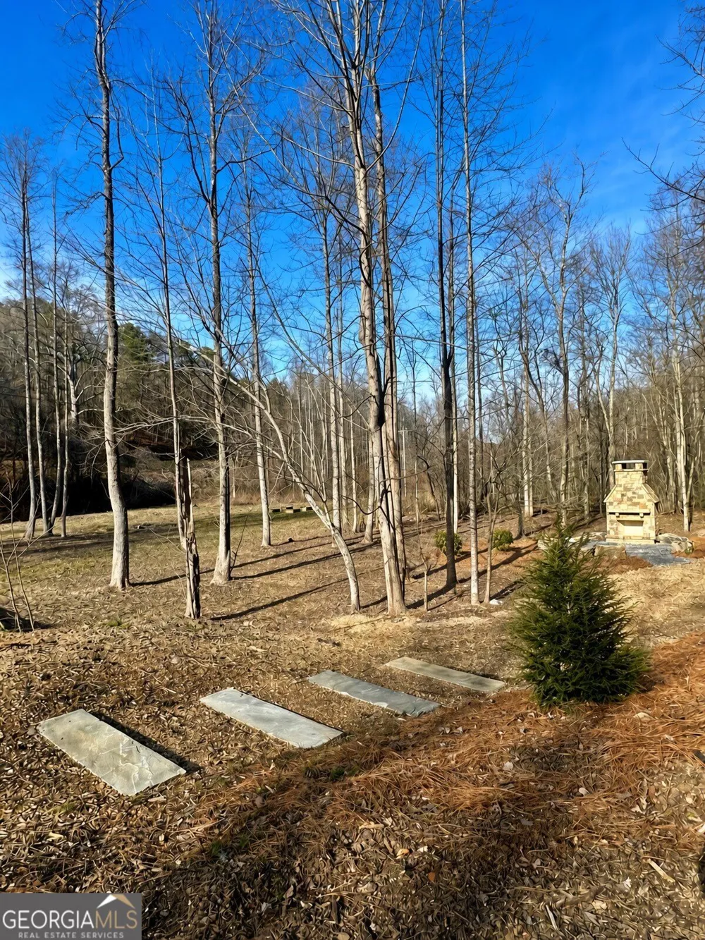 LOT 17 Turquoise RDG Blue Ridge, GA 30513