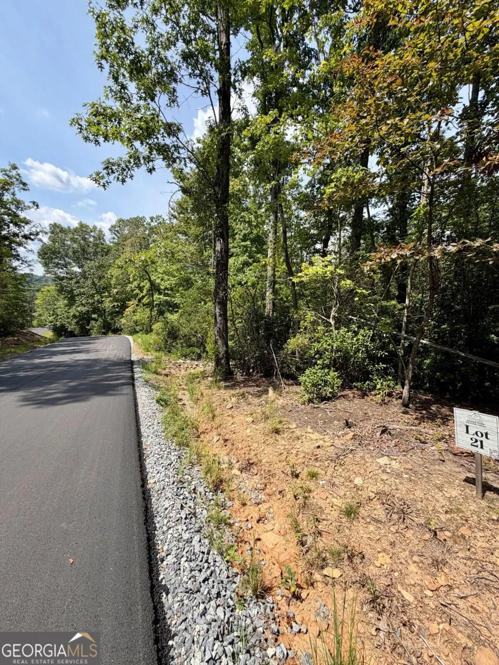LOT 21 Turquoise RDG Blue Ridge, GA 30513