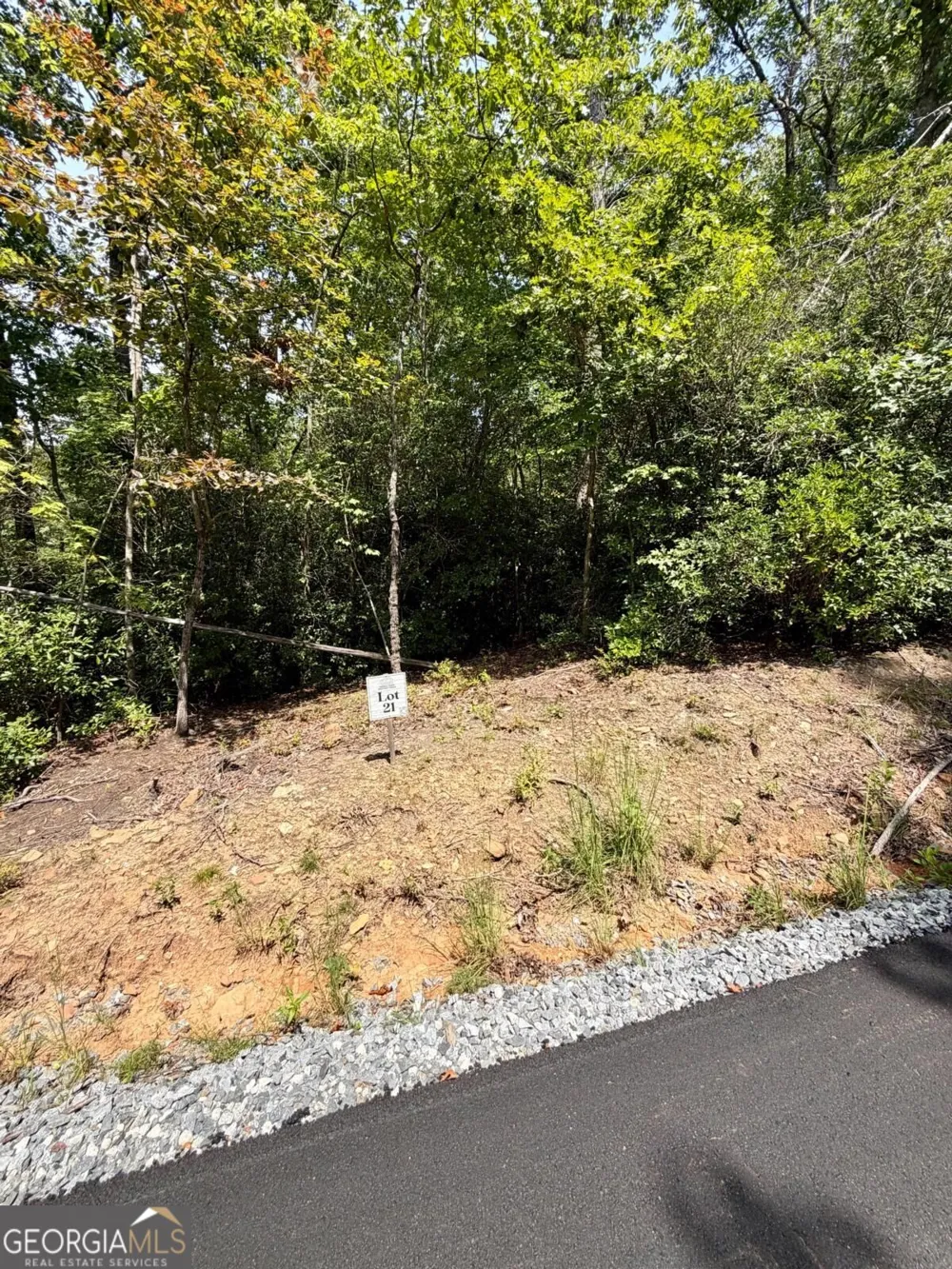LOT 21 Turquoise RDG Blue Ridge, GA 30513