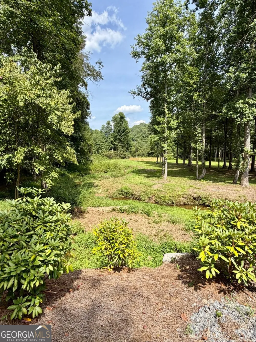 LOT 21 Turquoise RDG Blue Ridge, GA 30513