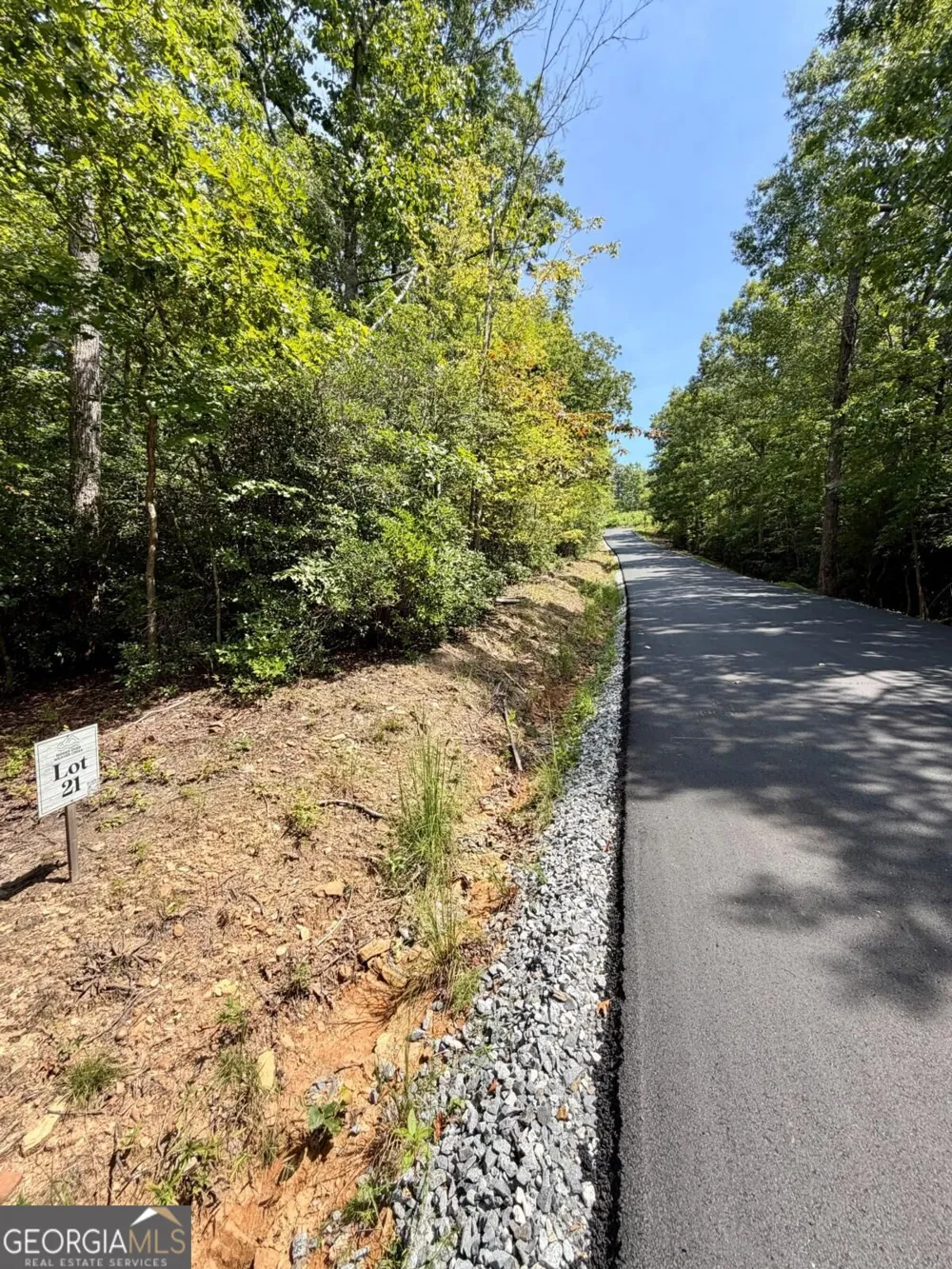 LOT 21 Turquoise RDG Blue Ridge, GA 30513