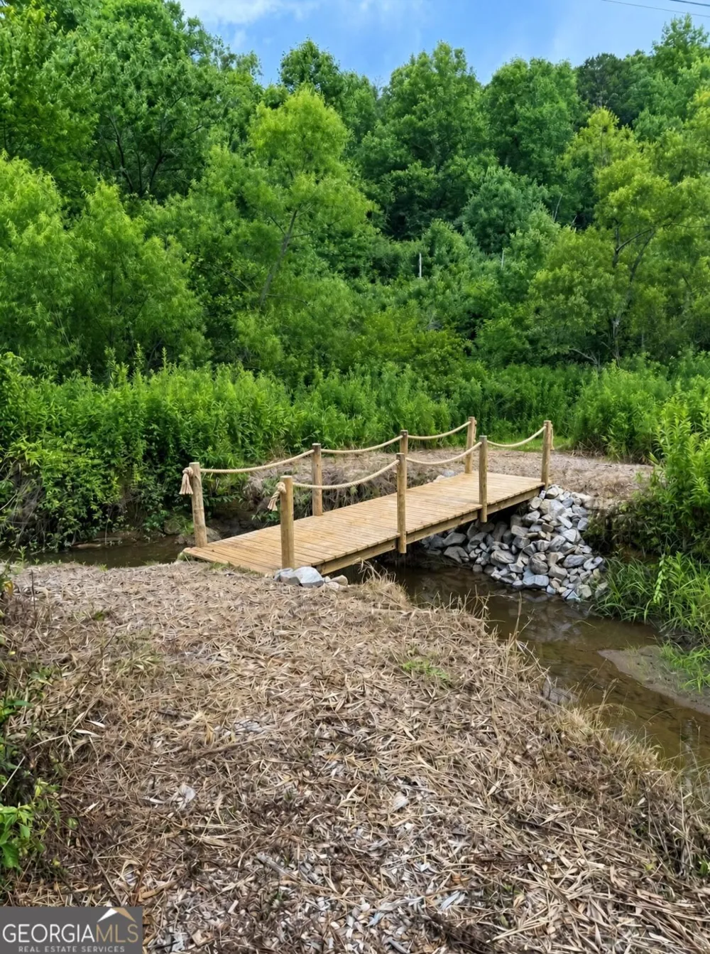 LOT 21 Turquoise RDG Blue Ridge, GA 30513