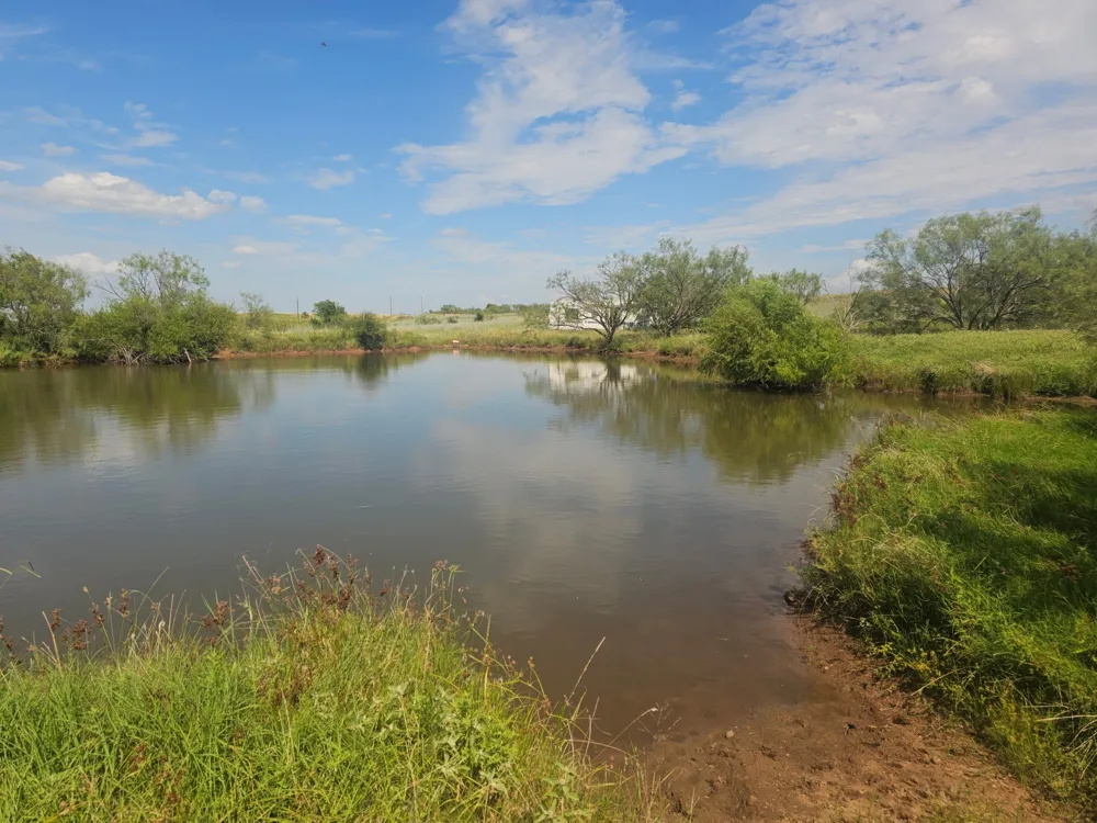 1796 Browning Road Bellevue, TX 76228