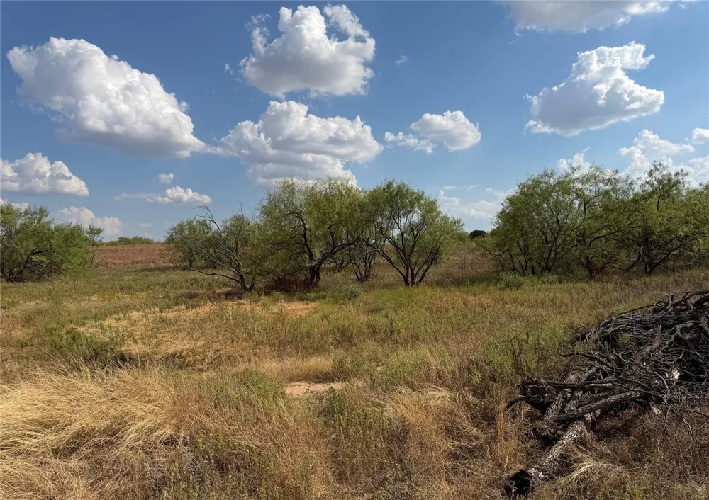 1796 Browning Road Bellevue, TX 76228