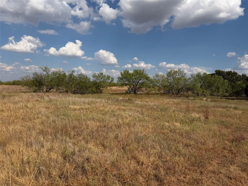 1796 Browning Road Bellevue, TX 76228