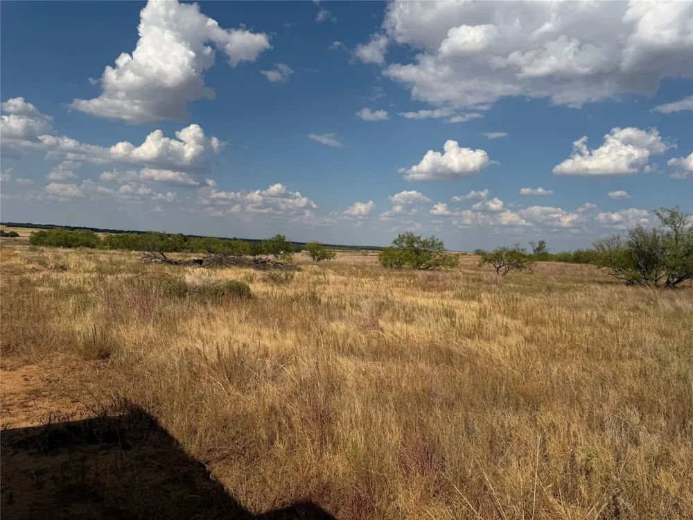 1796 Browning Road Bellevue, TX 76228