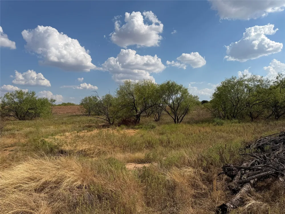 1796 Browning Road Bellevue, TX 76228