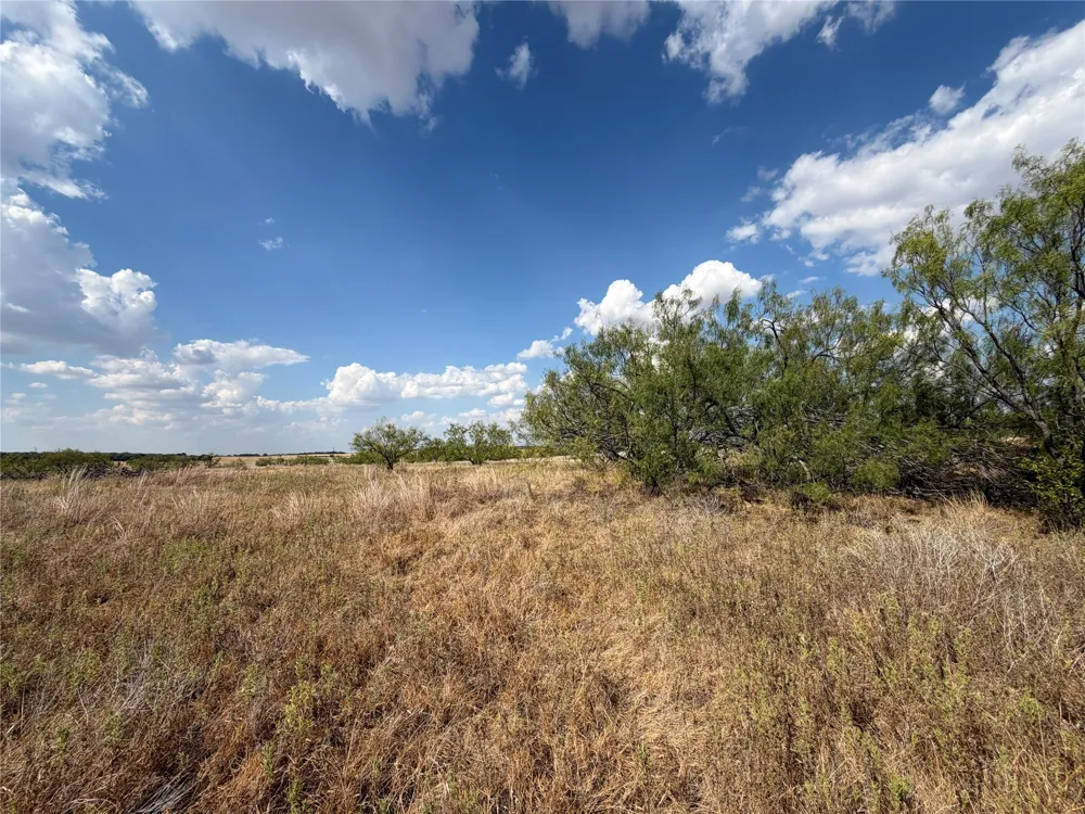 1796 Browning Road Bellevue, TX 76228