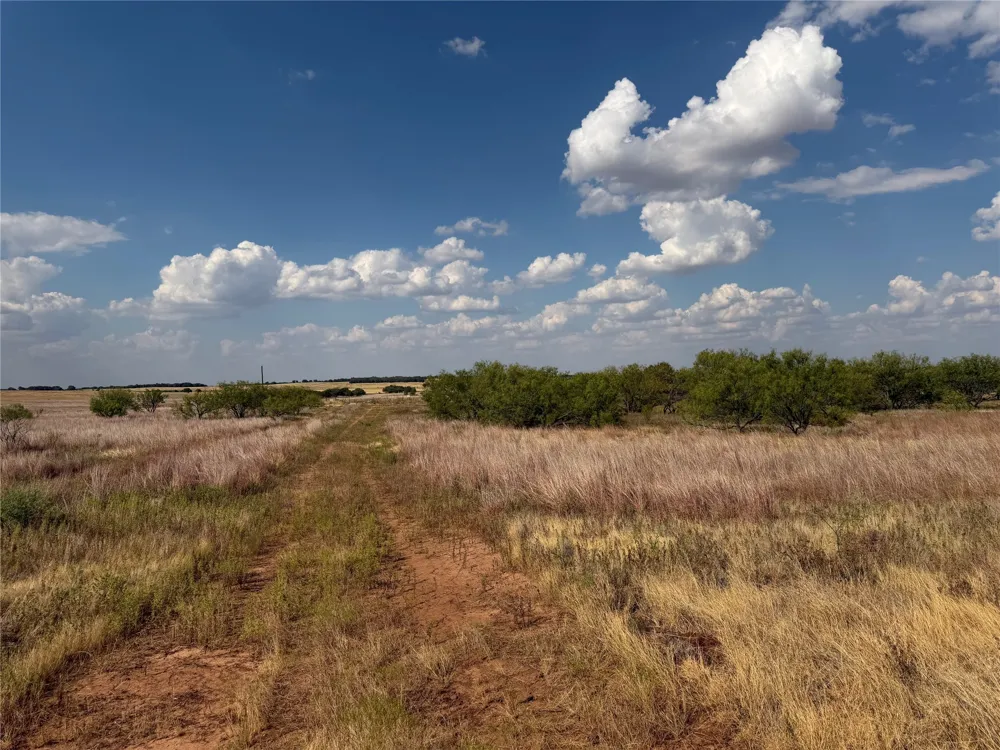 1796 Browning Road Bellevue, TX 76228