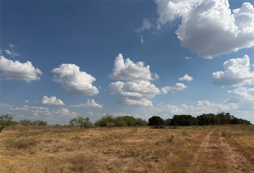1796 Browning Road Bellevue, TX 76228