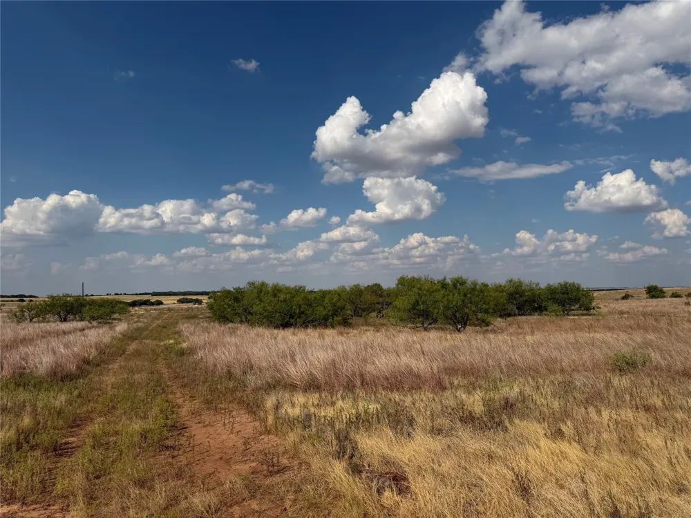 1796 Browning Road Bellevue, TX 76228