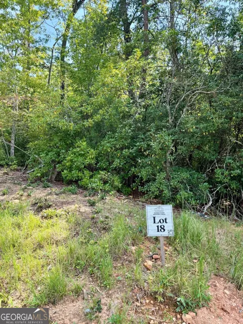 LOT 18 Turquoise RDG