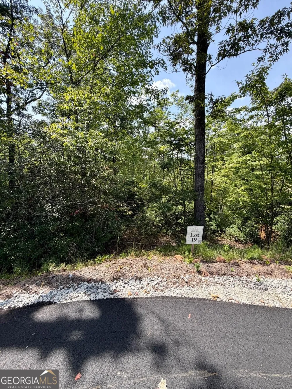 LOT 17 Turquoise RDG Blue Ridge, GA 30513