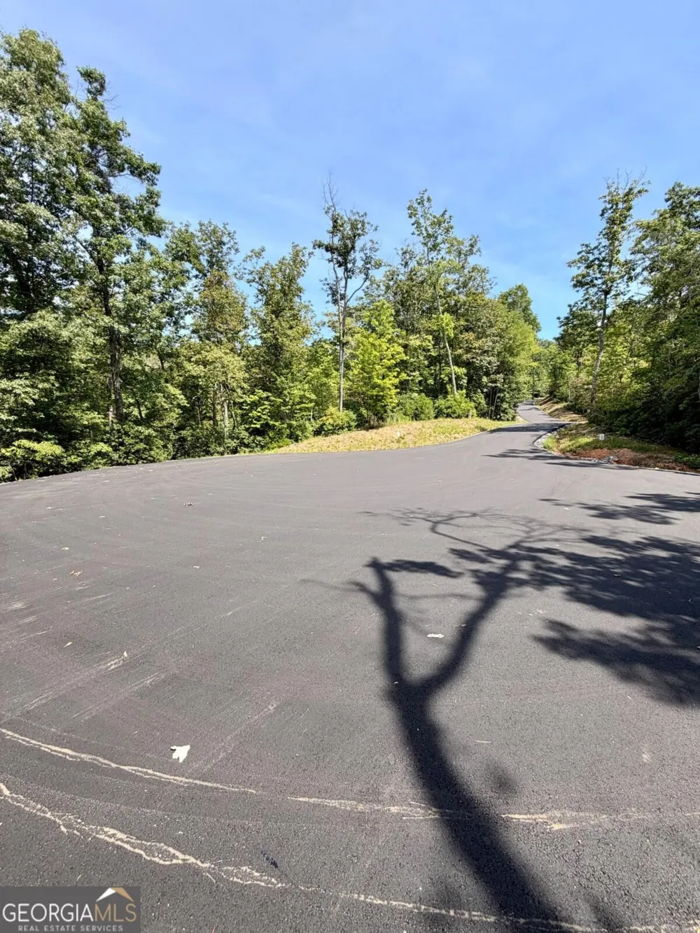 LOT 17 Turquoise RDG Blue Ridge, GA 30513