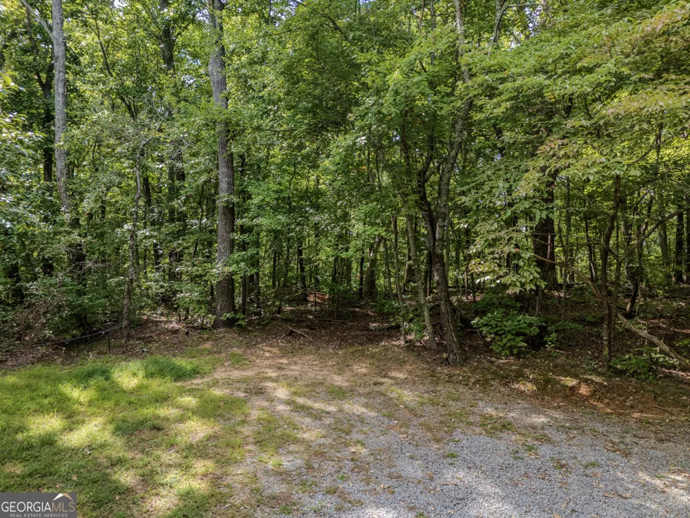 0 Clearview Drive Talking Rock, GA 30175
