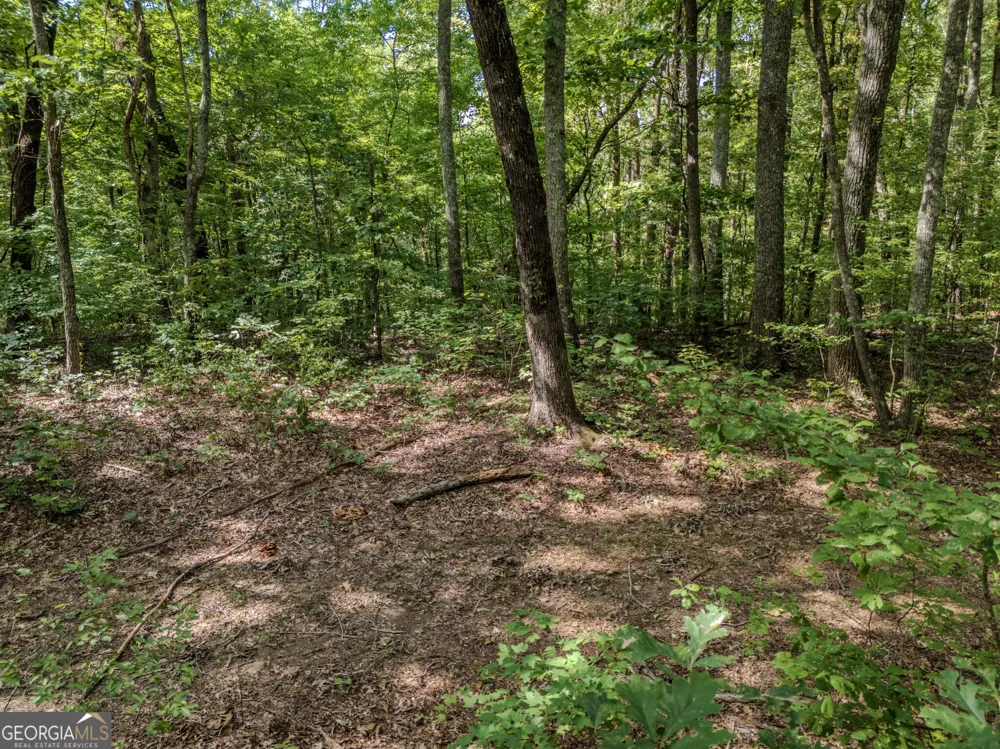 0 Clearview Drive Talking Rock, GA 30175
