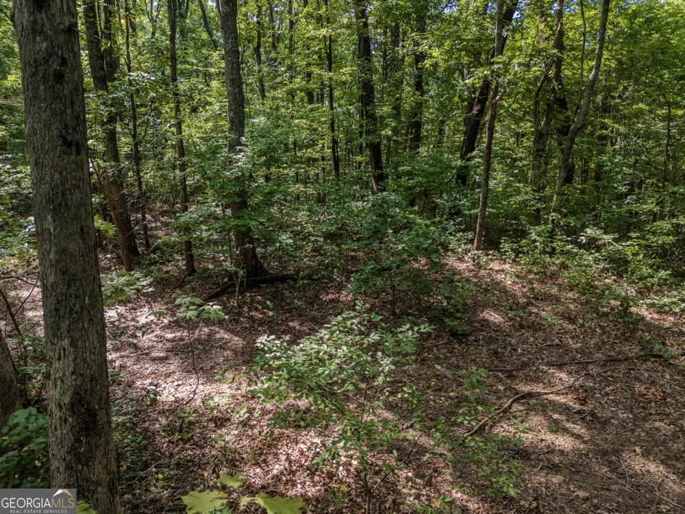 0 Clearview Drive Talking Rock, GA 30175