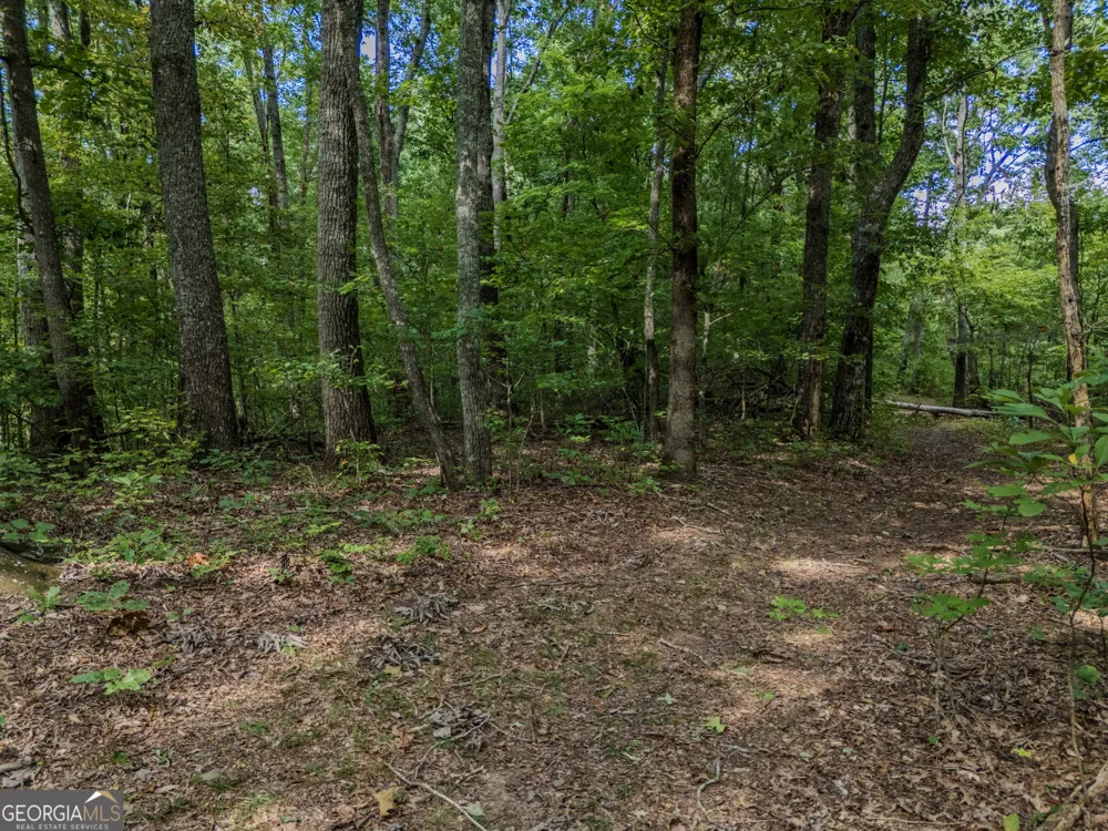 0 Clearview Drive Talking Rock, GA 30175