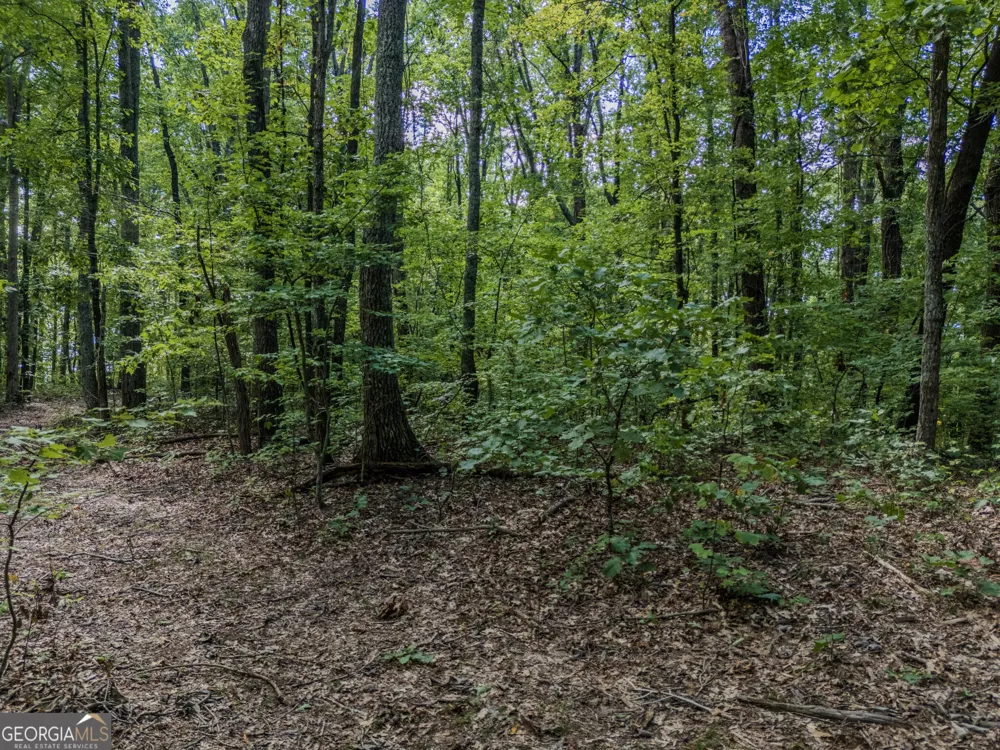 0 Clearview Drive Talking Rock, GA 30175