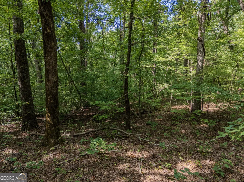 0 Clearview Drive Talking Rock, GA 30175