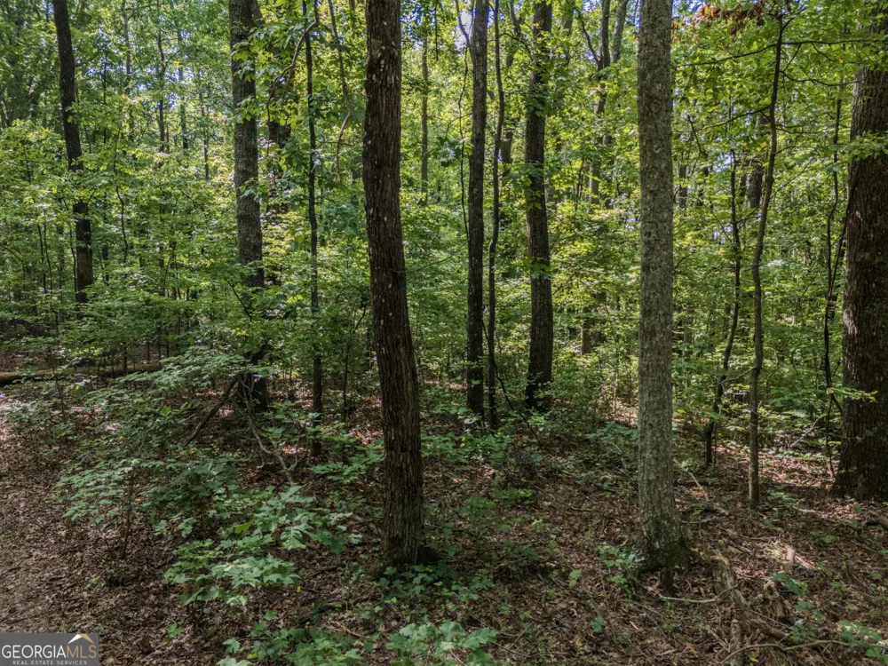 0 Clearview Drive Talking Rock, GA 30175