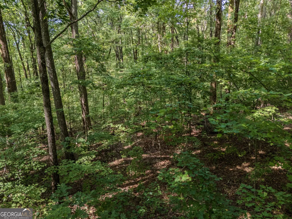 0 Clearview Drive Talking Rock, GA 30175
