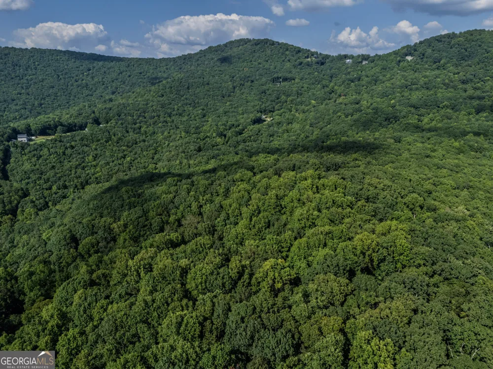 0 Clearview Drive Talking Rock, GA 30175