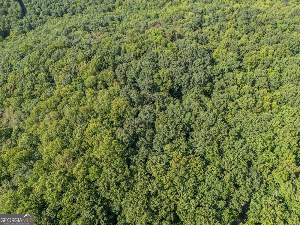 0 Clearview Drive Talking Rock, GA 30175
