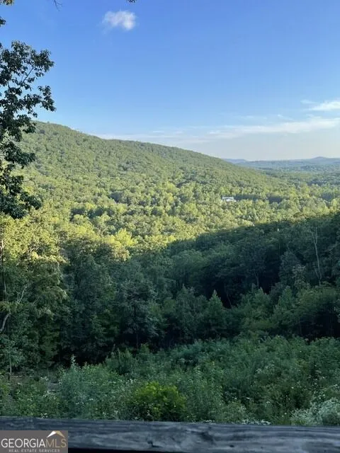 910 Foot Hills DR Cleveland, GA 30528
