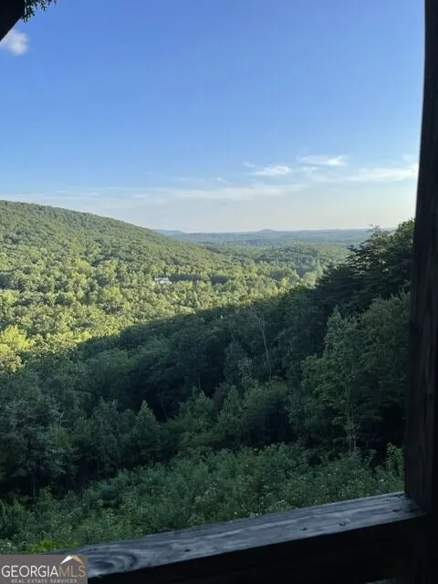 910 Foot Hills DR Cleveland, GA 30528