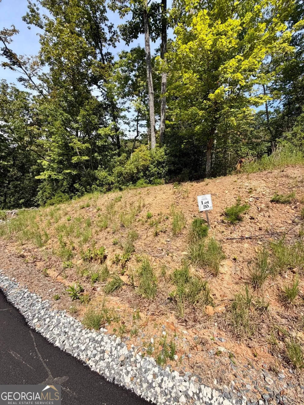 LOT 20 Turquoise RDG Blue Ridge, GA 30513