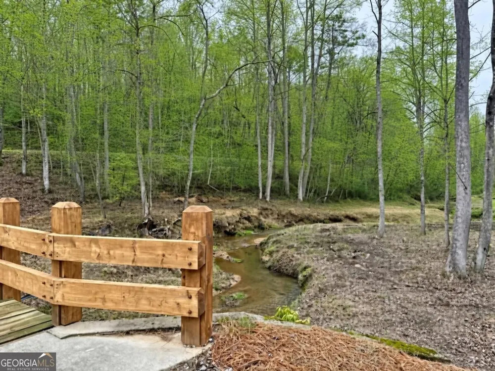 LOT 20 Turquoise RDG Blue Ridge, GA 30513