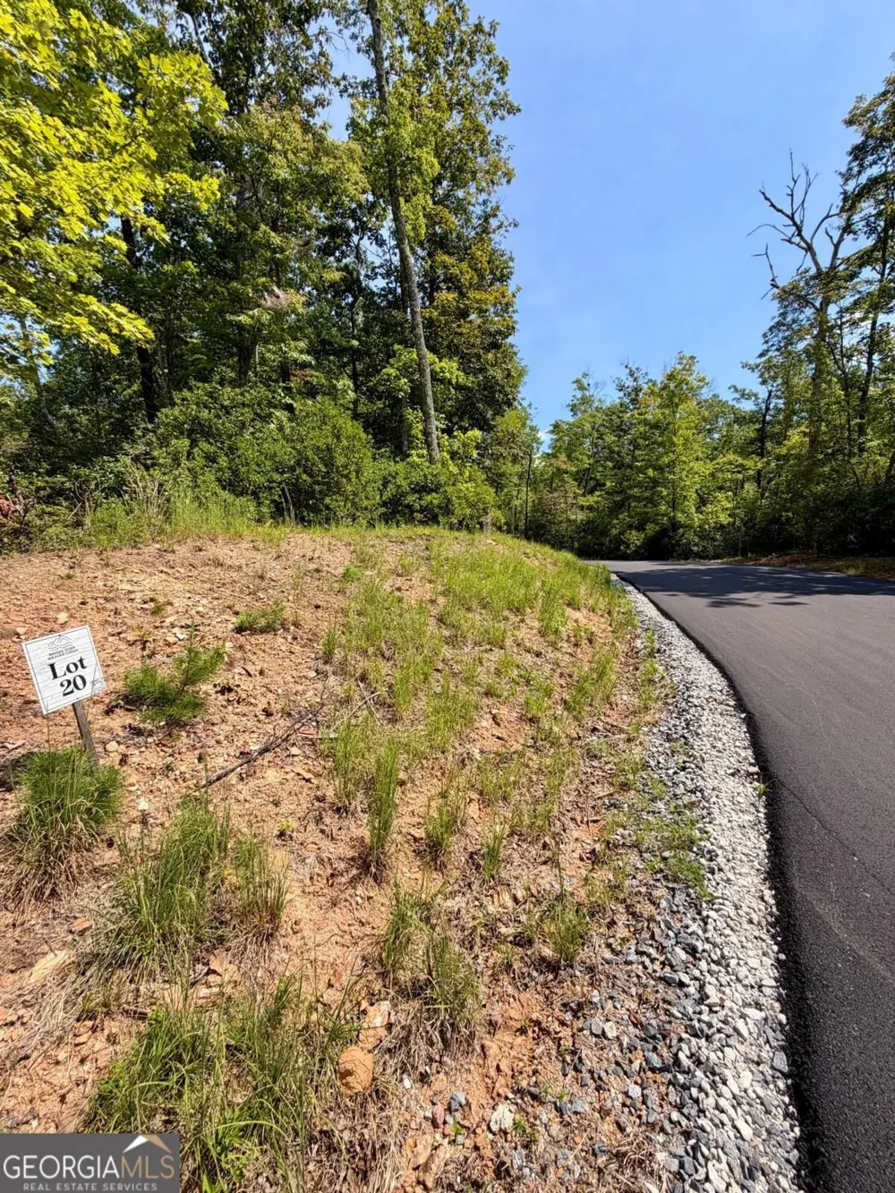 LOT 20 Turquoise RDG Blue Ridge, GA 30513