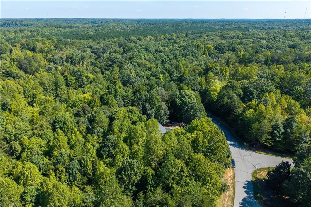 325 Buckhorn Ridge Road Mebane, NC 27302