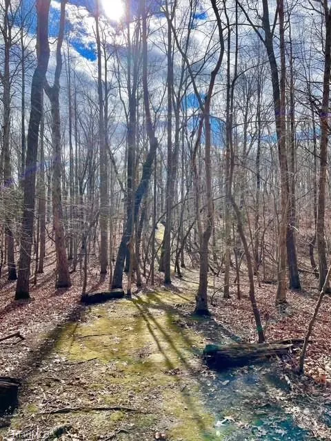 325 Buckhorn Ridge Road Mebane, NC 27302