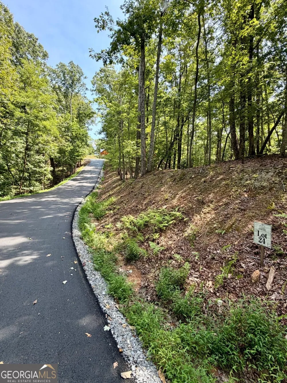 LOT 24 Prospect RDG Blue Ridge, GA 30513
