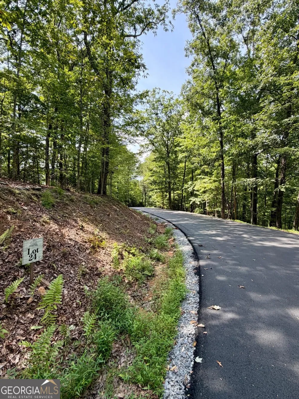 LOT 24 Prospect RDG Blue Ridge, GA 30513