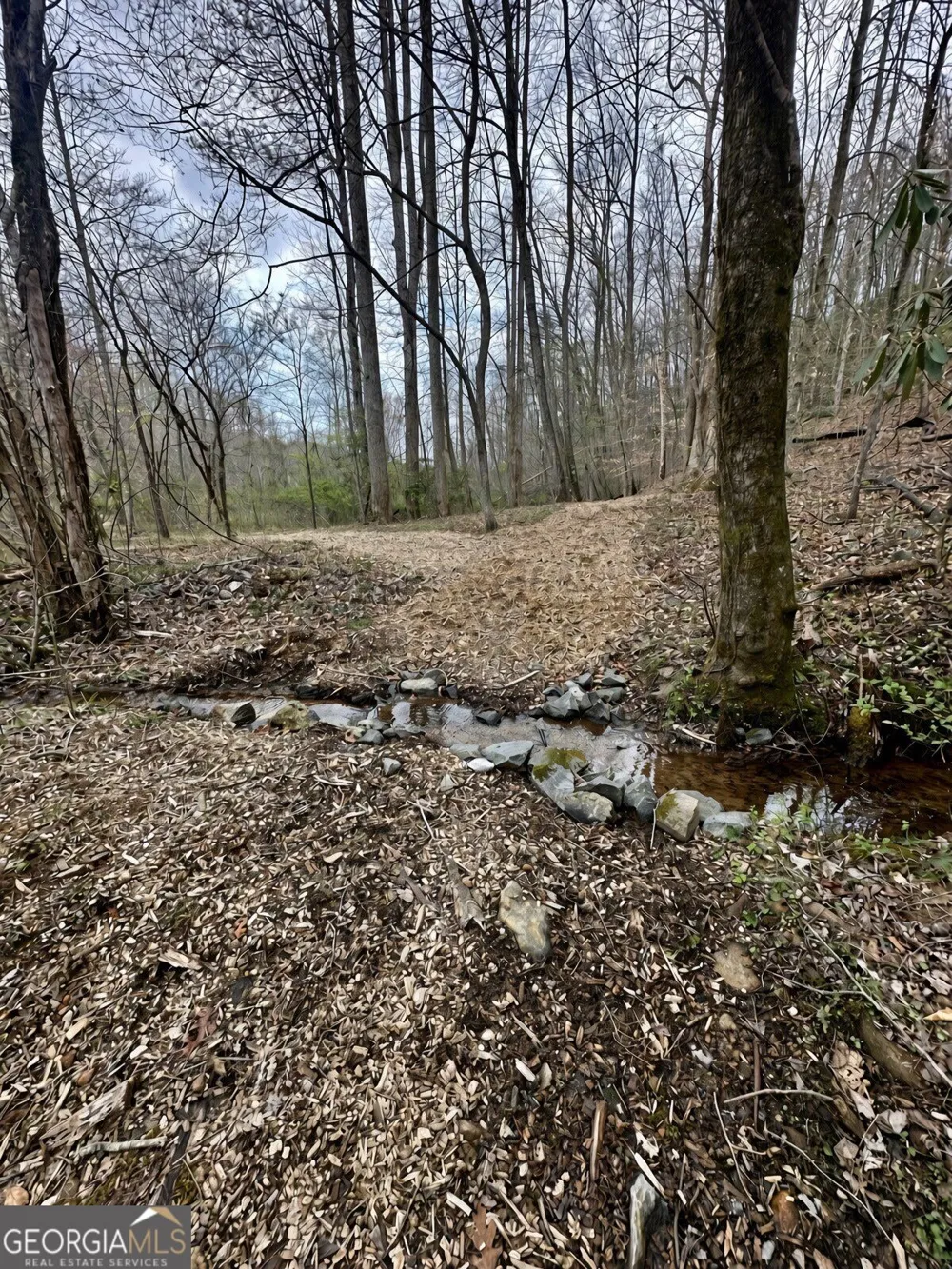 LOT 24 Prospect RDG Blue Ridge, GA 30513