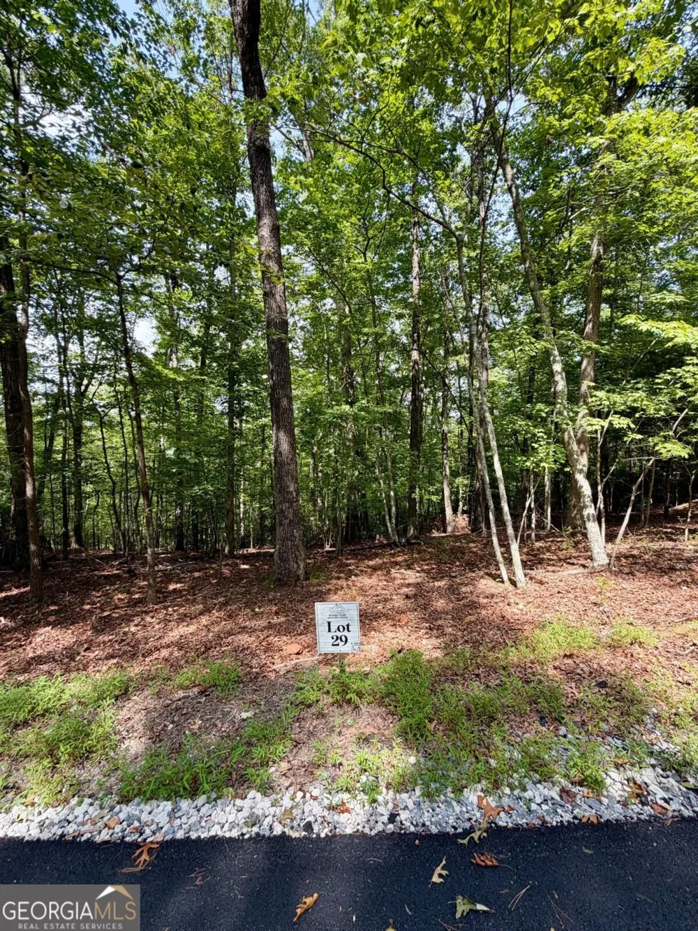 LOT 29 Prospect RDG Blue Ridge, GA 30513