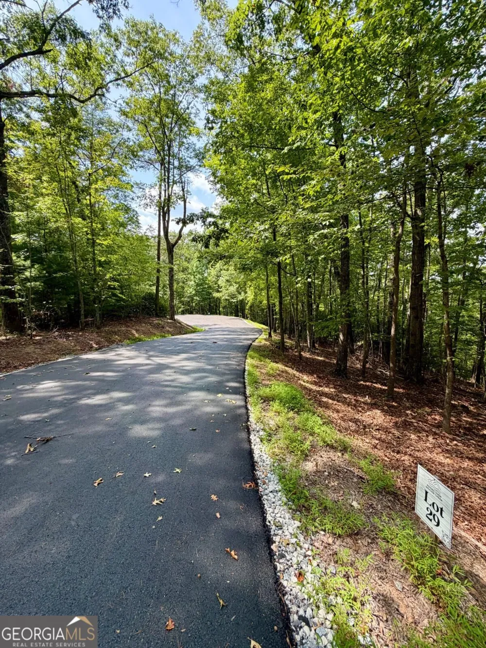 LOT 29 Prospect RDG Blue Ridge, GA 30513