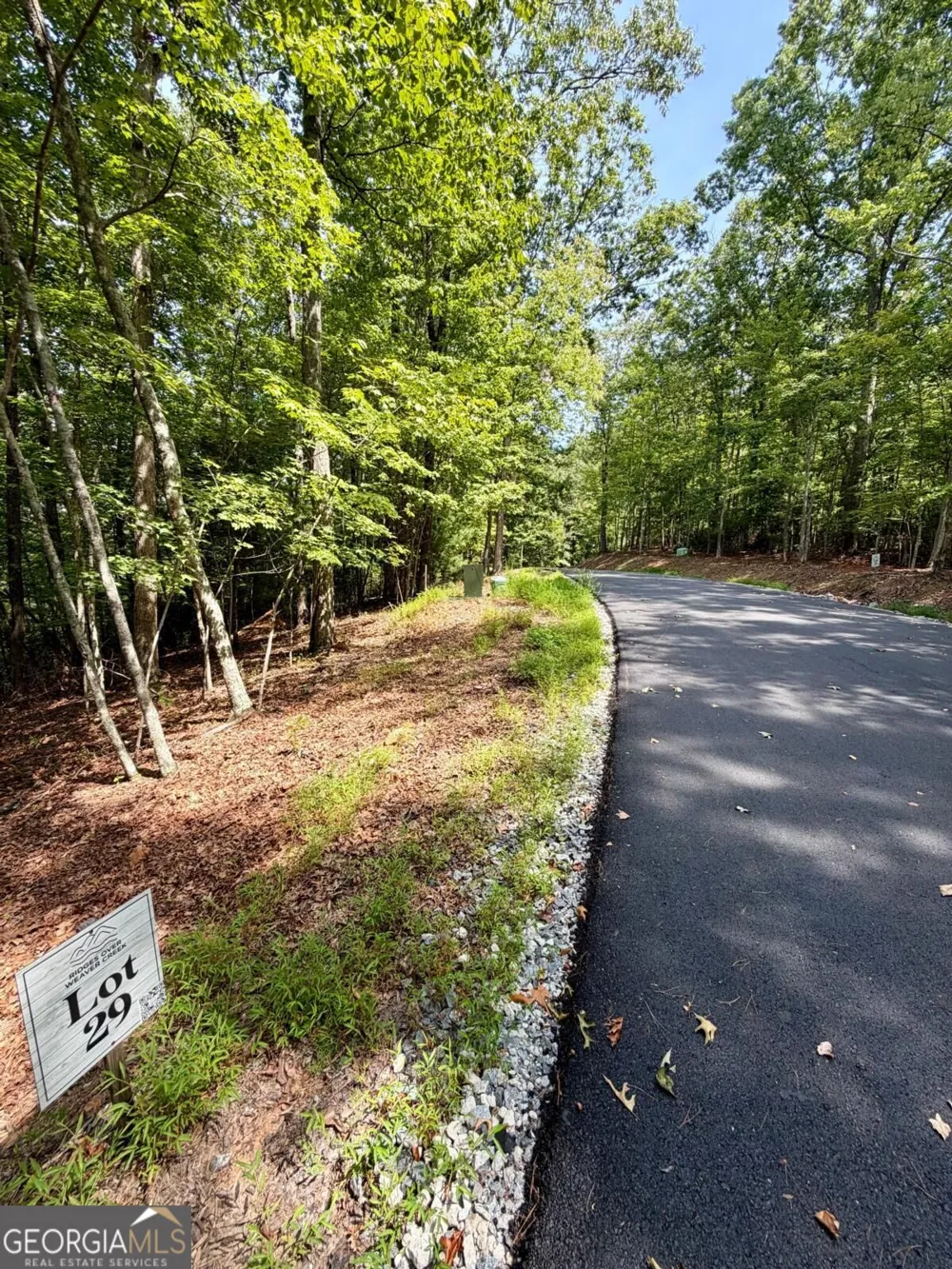 LOT 29 Prospect RDG Blue Ridge, GA 30513