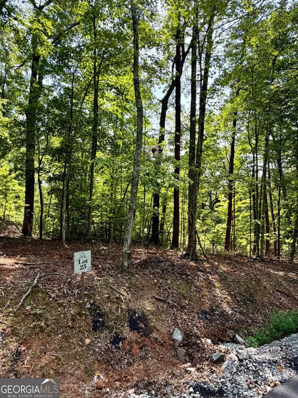 LOT 25 Prospect RDG Blue Ridge, GA 30513