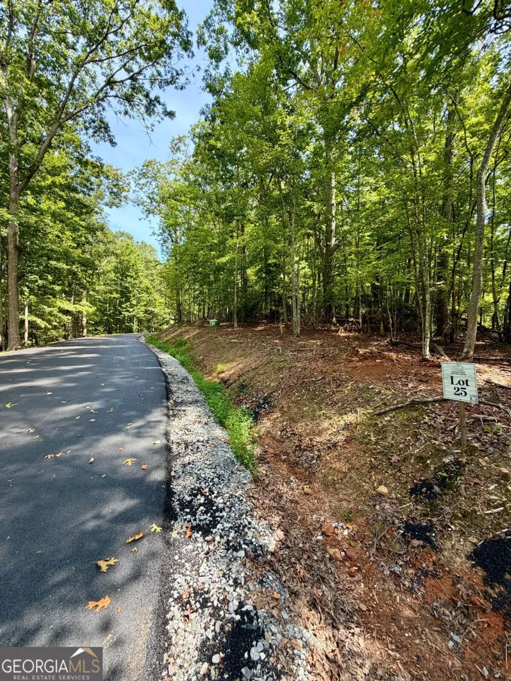LOT 25 Prospect RDG Blue Ridge, GA 30513