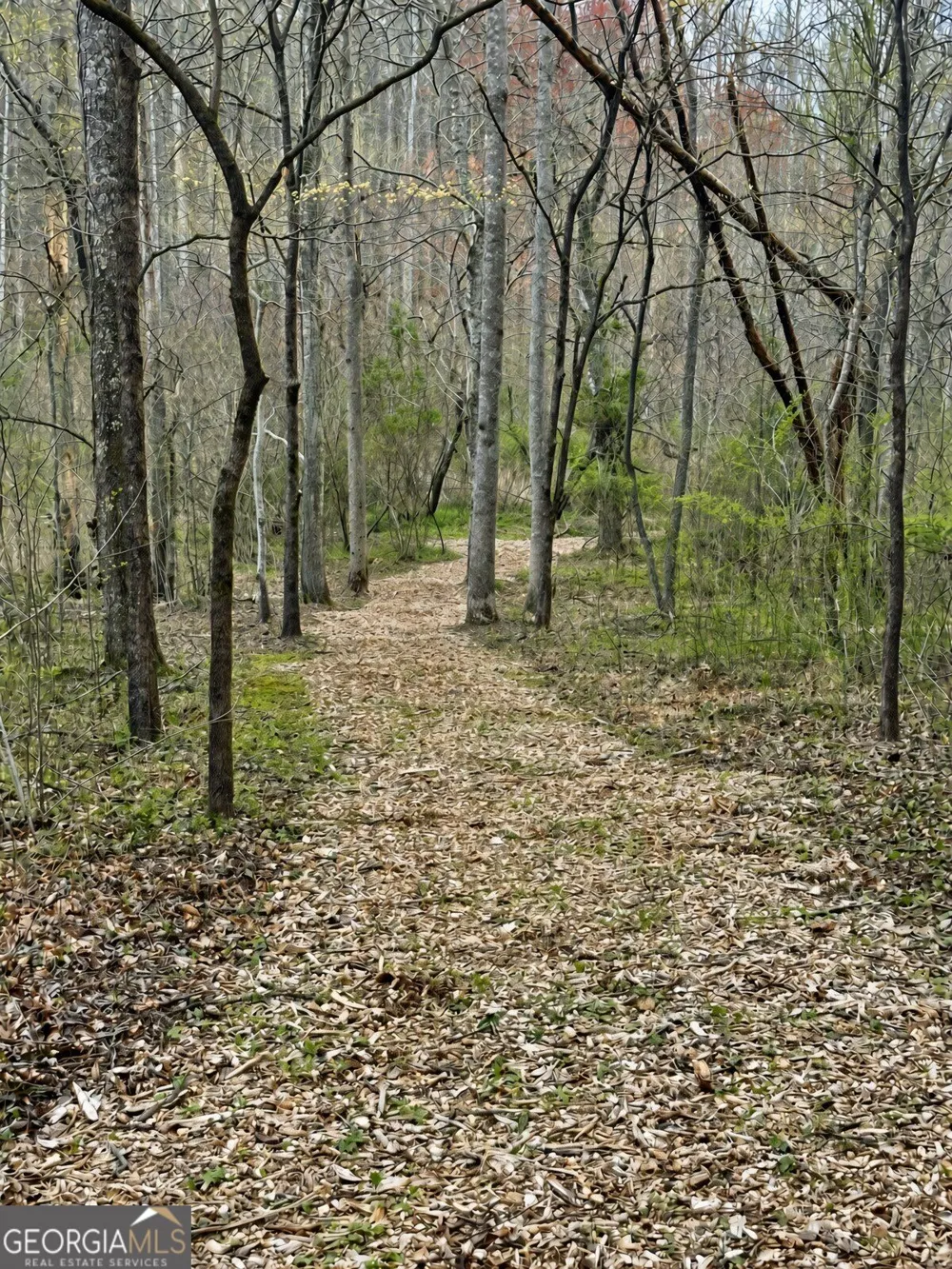 LOT 25 Prospect RDG Blue Ridge, GA 30513