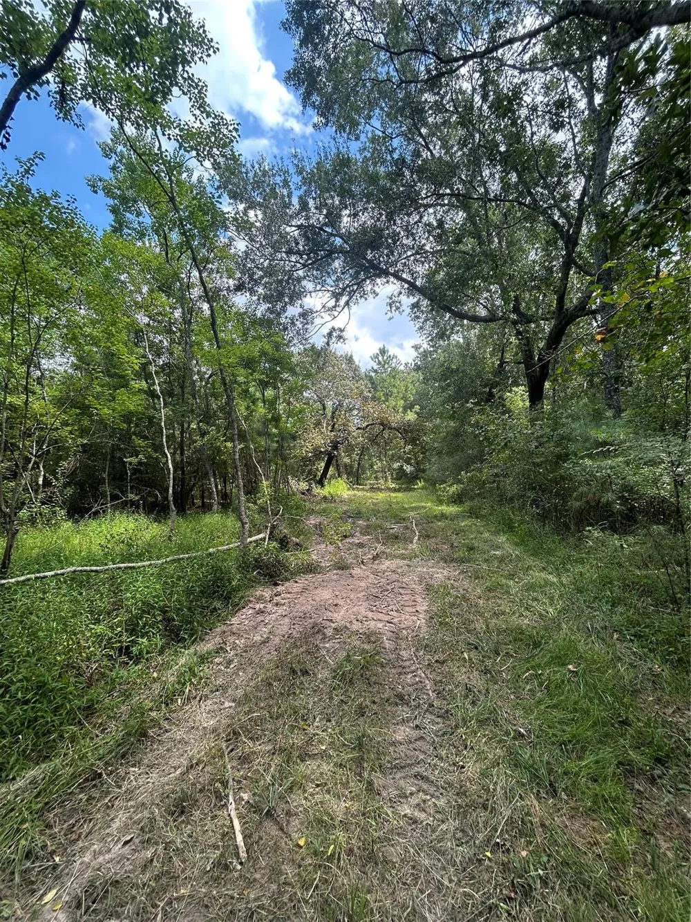 11919 Hickory Wood Pinehurst, TX 77362