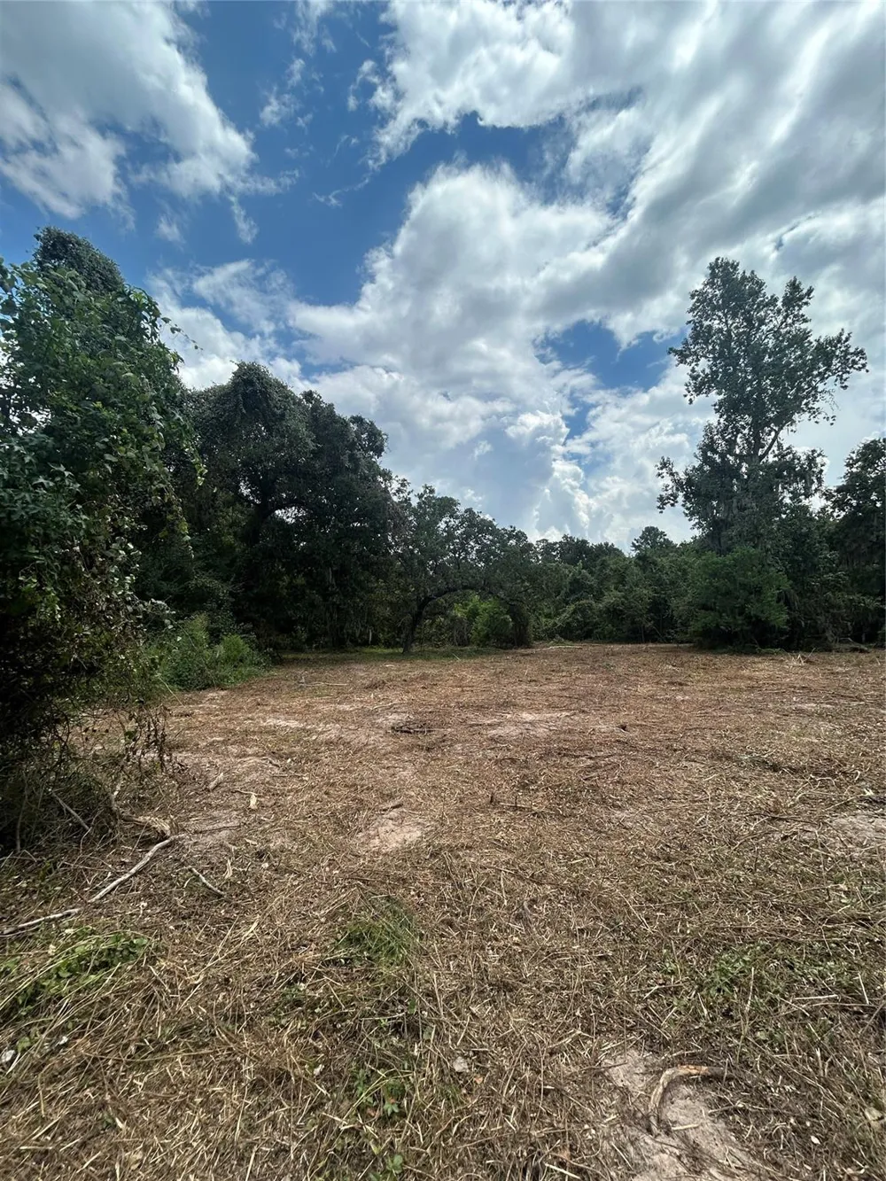 11919 Hickory Wood Pinehurst, TX 77362