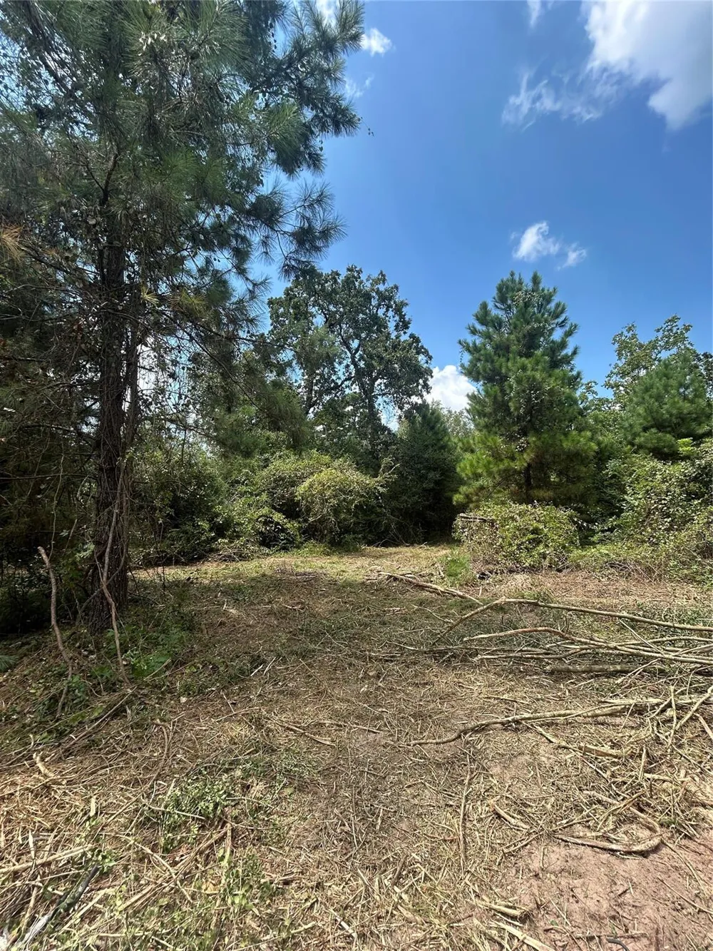 11919 Hickory Wood Pinehurst, TX 77362