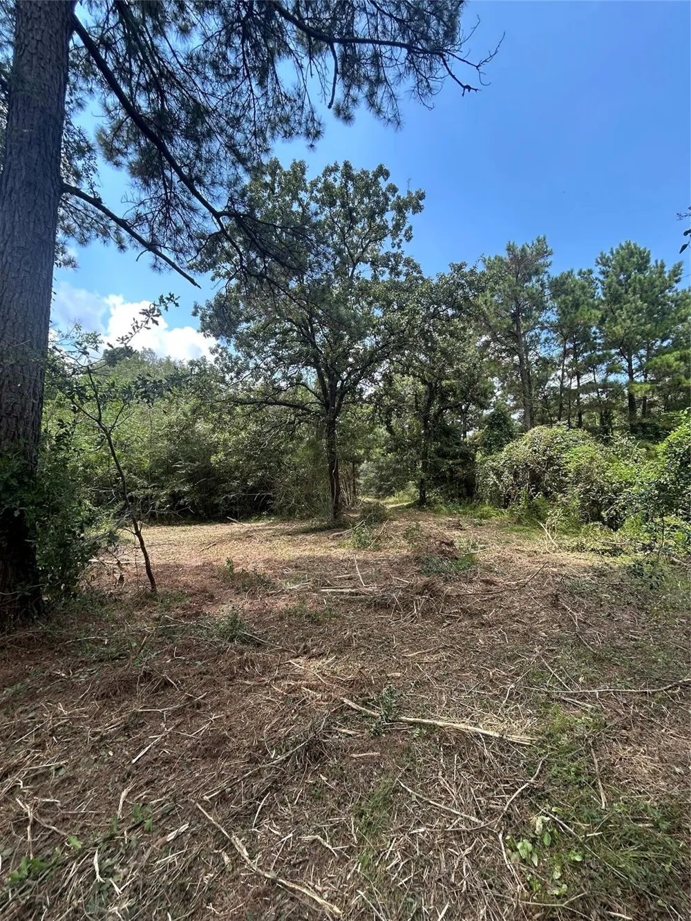 11919 Hickory Wood Pinehurst, TX 77362